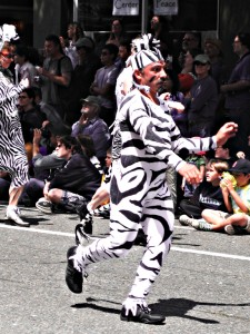 zebraguy