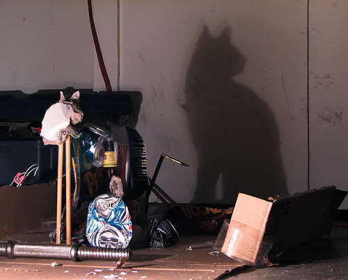 cat shadow sculpture