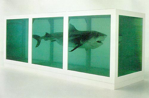 Hirst-Shark