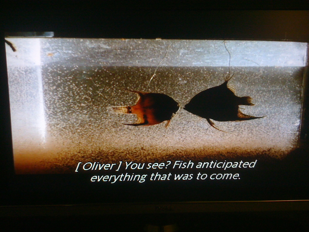 greenaway_anticipated_hirst