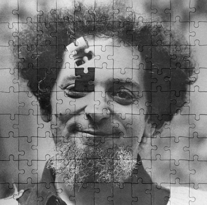 perec-puzzle-piece