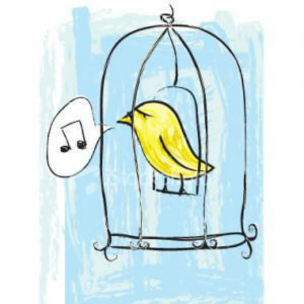 BirdInCage