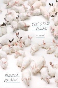 st0413-the-stud-book
