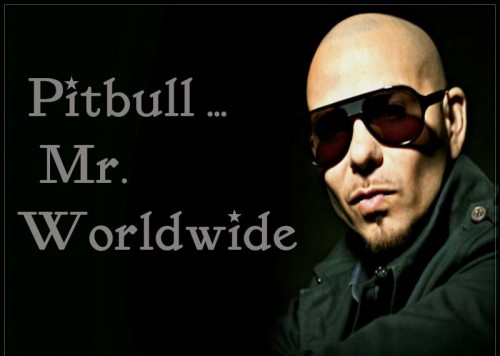 pitbull mr. worldwide