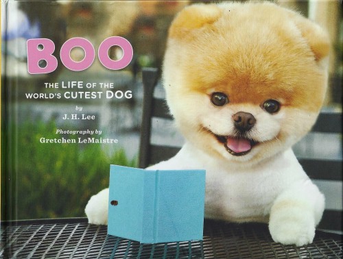 boo cover