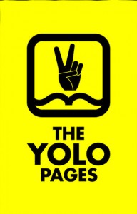 yolo book cover