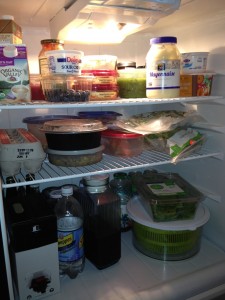 elisa-gabbert-fridge