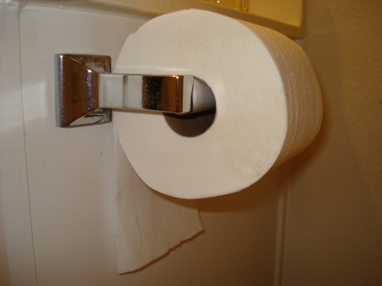 question about toilet paper HTMLGIANT